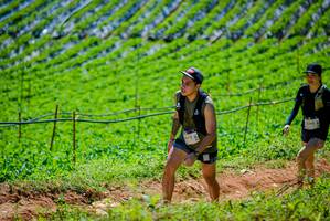 BIB: 
                            <button type="button" onclick="openModal(19164158)" class="btn btn-primary btn-sm float-right btn-popup" data-toggle="modal" data-target=".modal-high-quality">
                        <i class="fas fa-shopping-cart"></i> Add to Cart
                    </button>
                                            <button type="button" onclick="isThisMe(19164158, true)" class="btn btn-success btn-sm float-right btn-popup btn-isme hidden" data-toggle="tooltip" data-placement="bottom" title="นี่คือรูปของคุณใช่ไหม คลิกที่นี่เพื่อเอาเข้าอัลบั้ม">
                        <i class="fas fa-plus"></i> Add to album
                    </button>
                    <button type="button" onclick="isThisMe(19164158, false)" class="btn btn-warning btn-sm float-right btn-popup btn-isnotme hidden">
                        <i class="fas fa-ban"></i> Remove from album
                    </button>